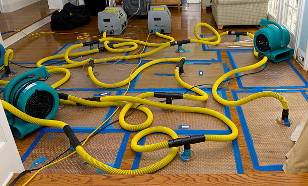 Professional Structural Drying And Dehumidification technician working in Bruceton, TN